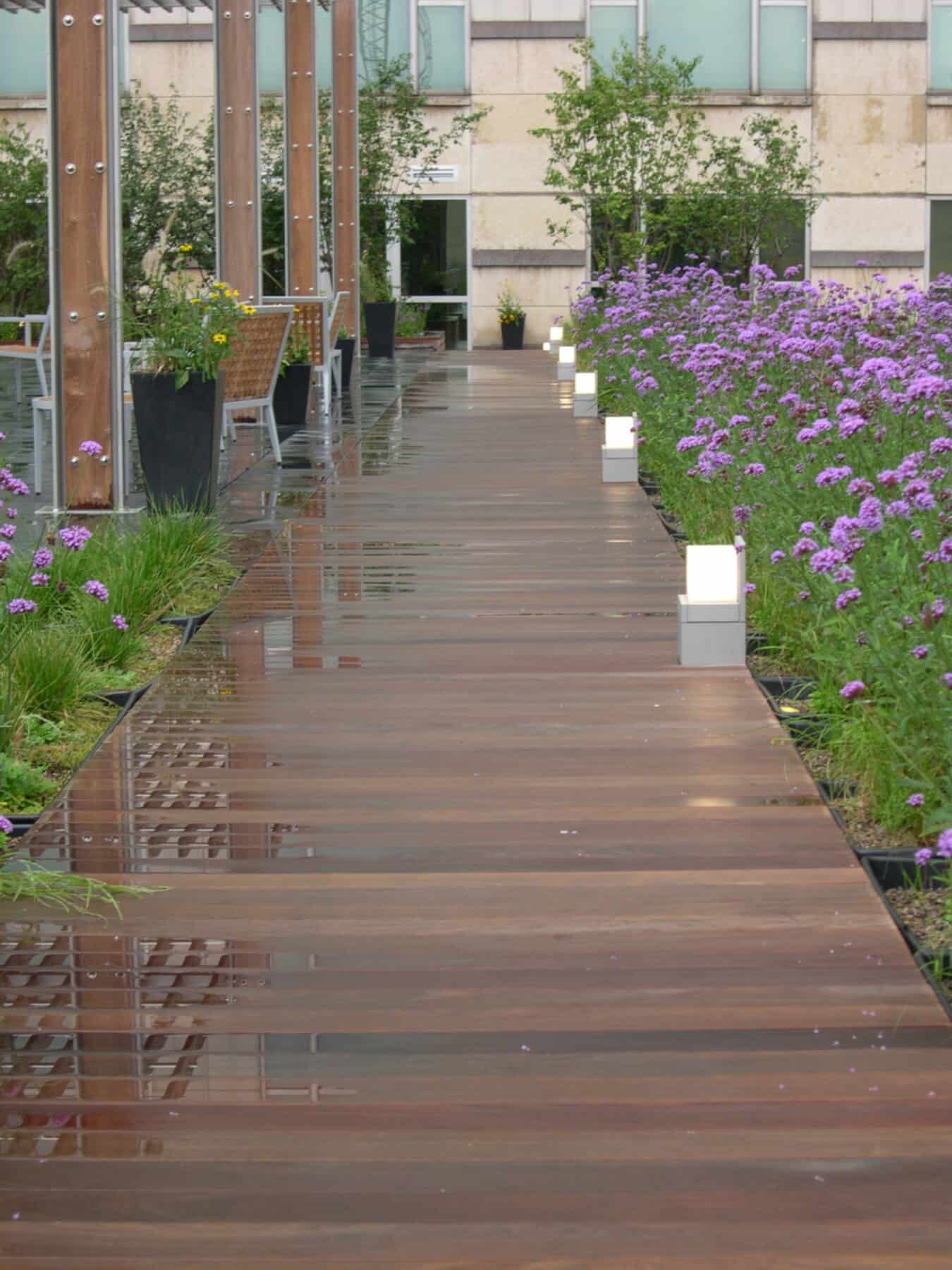 Contemporary Michigan Avenue Beautiful Rooftop Deck with Ipe Container Garden, Walkway by Commercial Builder & General Contractor Structural Enterprises