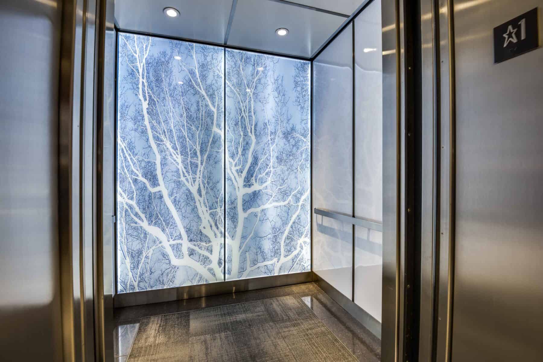 Back Lit Glass Blue and White Tree Image Wall Panels for Michigan Avenue Lobby by Commercial Builder & General Contractor Structural Enterprises