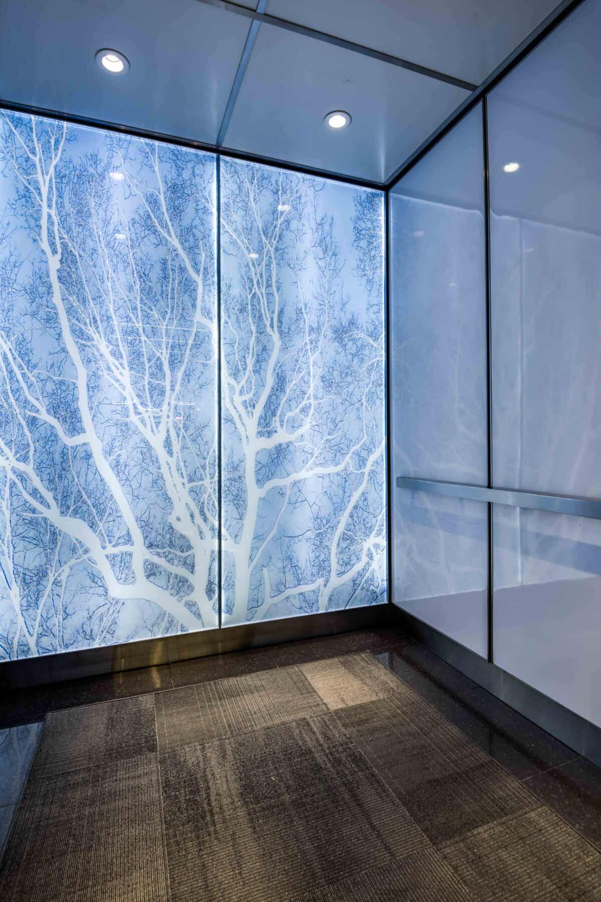 Modern Backlit Glass with Blue and White Tree Image Elevator Interior for Michigan Avenue Lobby by Commercial Builder & General Contractor Structural Enterprises