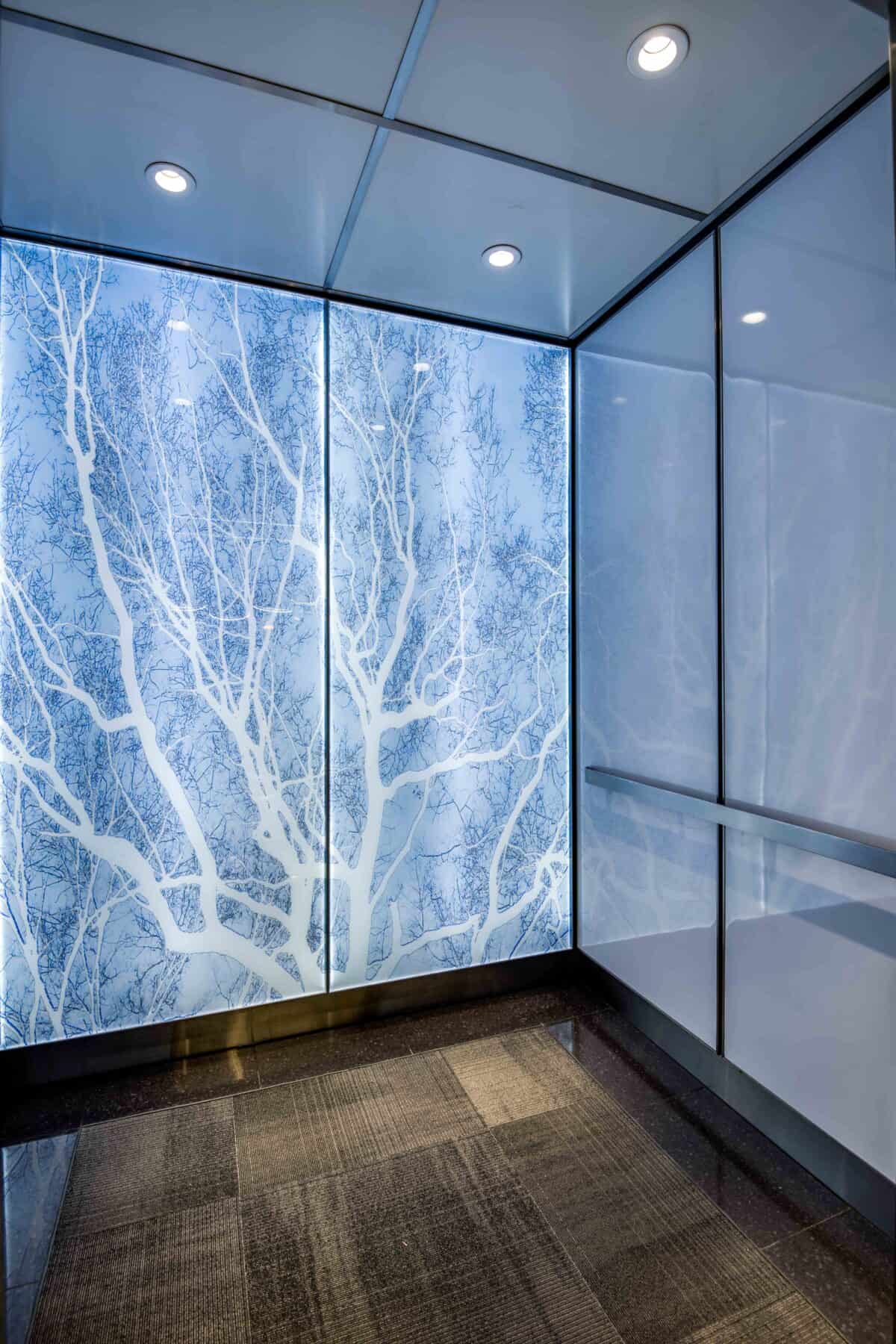 Modern Backlit Glass with Custom Image Elevator Interior for Michigan Avenue Lobby by Commercial Builder & General Contractor Structural Enterprises