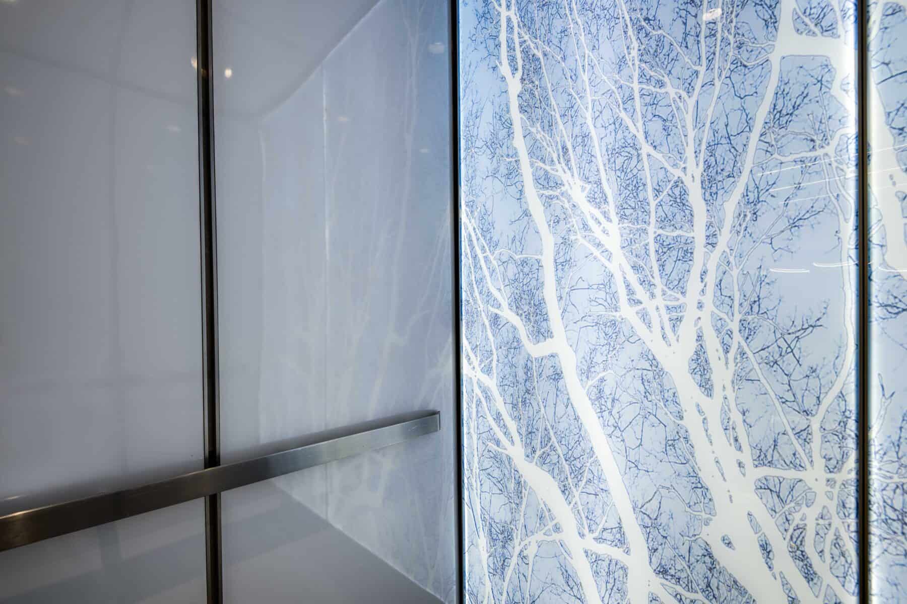 Custom Back Lit Glass Wall Panel with Tree Image by Commercial Builder & General Contractor Structural Enterprises